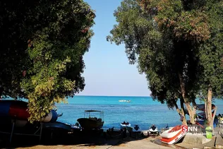 صثفصل