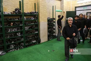 هیئت دانشگاه