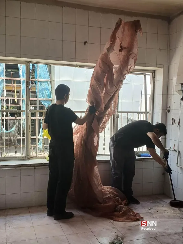 جهادی