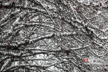 سوز سرما ادامه دارد/ پیش&zwnj;بینی بارش برای مناطق مختلف ایران