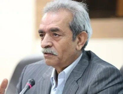 شافعی: دولت قبل توجهی به هشدار&zwnj;های تبعات ارز ترجیحی نداشت&zwnj;