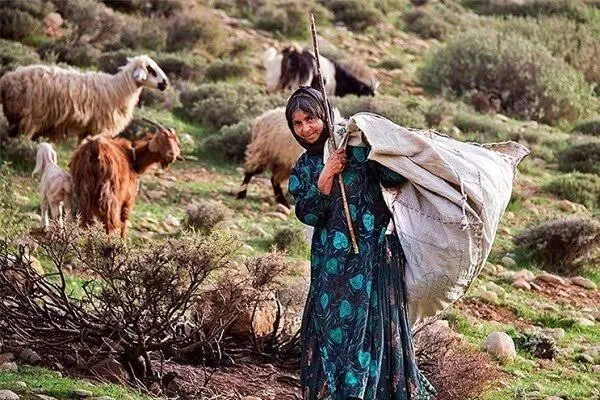 واریز بسته معیشتی برای مستمری‌بگیران روستایی+جزئیات پرداخت
