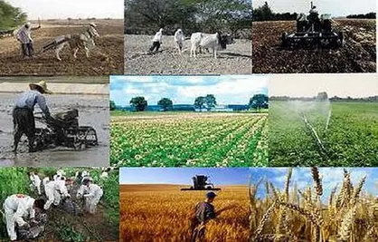 اتاق اصناف کشاورزی تشکیل می&zwnj;شود