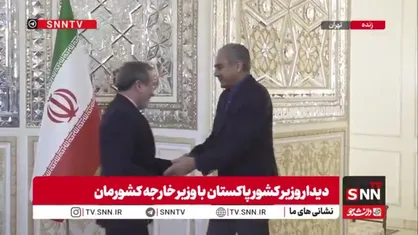 استقبال عراقچی از وزیر کشور پاکستان