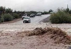 غرق شدن ۴۴۹ تن در ۴ ماه