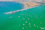 بریس