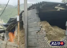 گروه‌های جهادی تأمین اقلام خوراکی برای مردم زلزله زده رامیان را آغاز کردند