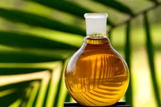 افزایش واردات روغن پالم/ وقتی سلامت مردم قربانی تصمیمات دیگر می‌شود