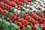 گزارش تصویری مراسم رژه روز ارتش مشهد