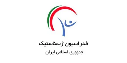 حمزه امین&zwnj;منش سرپرست دبیری فدراسیون ژیمناستیک شد