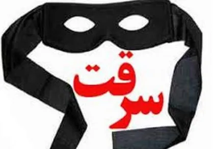 مسافر&zwnj;های زورگیر دستگیر شدند