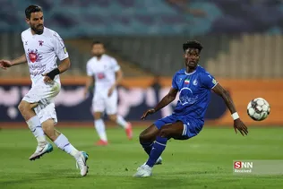 دبب