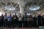 فطر