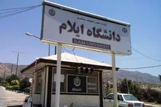 استاد دانشگاه ایلام در ردیف یک درصد دانشمندان برتر دنیا قرار گرفت