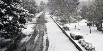 مازندران &laquo;برفی&raquo; شد/ بارش باران در ۹ استان