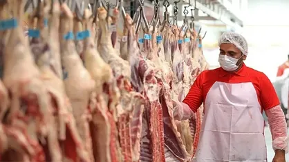 ثبات در بازار دام و گوشت در روزهای آینده/ قیمت دام زنده به ۵۰۰ هزار تومان کاهش یافت