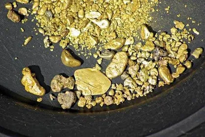 محیط زیست قروه در جریان نتیجه نمونه&zwnj;برداری نشت سیانور از معدن طلاى سارى&zwnj;گونى است / اجازه اعلام نداریم!