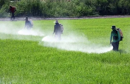 نوربخش: ۸۰ میلیون دلار ارز نیمایی به واردکنندگان آفت&zwnj;کش پرداخت شد