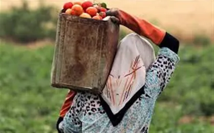 ضرورت آموزش زنان روستایی برای تولید محصولات سالم