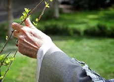 گزیده بیانات رهبر انقلاب به مناسبت روز درختکاری  +ویدئو کلیپ