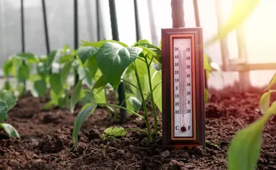 کاهش دما در برخی مناطق / احتمال سرمازدگی محصولات در مناطق سردسیر