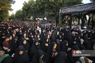 استقبال از شهید