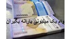 ۸۷ درصد خانوار‌های یارانه بگیر وام یک میلیونی دریافت کردند