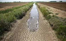 معاون استاندار اصفهان: مشکلات کشاورزان اصفهان از مسیر‌های قانونی حل می‌شود