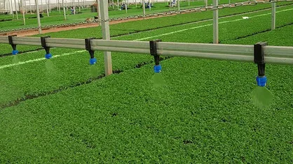 سرمایه&zwnj;گذاری ۳۳۰ میلیارد تومانی برای تولید سالانه ۱۵۰ میلیون نشاء در شهرک گلخانه&zwnj;ای اصفهان