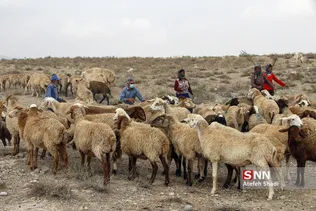 واکسن ذام
