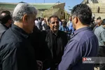 کاشانی