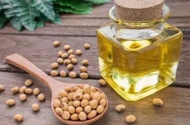 ثبت سفارش واردات روغن خام از ۱۰ تیر آغاز می‌شود