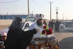 سیزسص