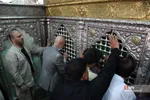 ‫سفر وزیر علوم، تحقیقات و فناوری به قم
