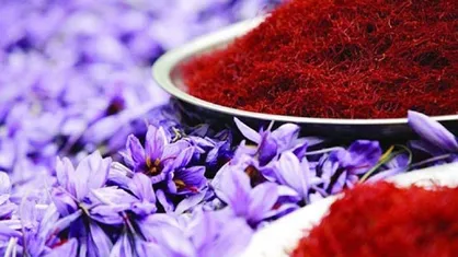 هر کیلو زعفران سرگل ۱۰۰ میلیون تومان