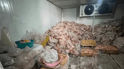 معدوم&zwnj;سازی لاشه مشکوک گوشت ۲۰۰ کیلویی با دستور مقام قضایی