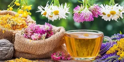 ۲ دمنوش ساده و ارزان بهاری و خواص آن&zwnj;ها را بیشتر بشناسید