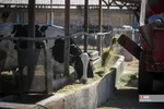 546456546