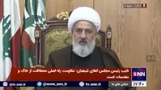 نایب رئیس مجلس اعلای شیعیان: مقاومت راه اصلی محفاظت از خاک و مقدسات است