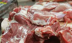 گوشت گرم گوسفندی وارداتی از هفته آینده عرضه می‌شود