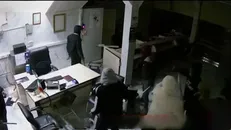 تروریست‌ها در شهر