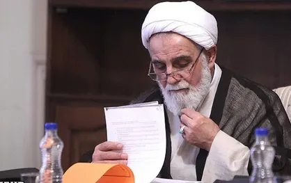 آیا ناطق باید تضعیف کننده جریان مادری شناخته شود؟