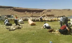 چرا معدن‌کاران به منابع طبیعی کوه کرکس آسیب می‌زنند؟ / عدم تحقق جرم انگاری تخریب محیط زیست در حاشیه جوشقان قالی
