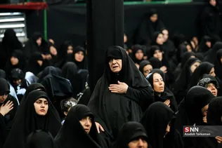 دبب