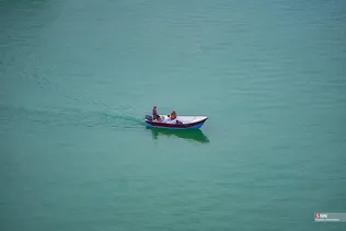 بریس