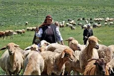 ۹۸ میلیارد تومان تسهیلات کم‌بهره به عشایر گیلان پرداخت شد