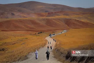 یار احمدی
