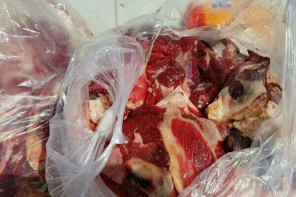 کشف و جمع&zwnj;آوری ۶۱۰ کیلوگرم انواع گوشت فاسد در زاهدان