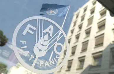 پس‌لرزه‌های جنگ ایران؛ قیمت جهانی مواد غذایی به شدت افزایش یافت