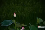657546456456